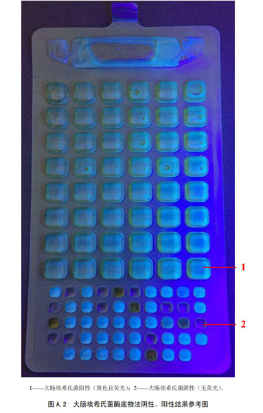 大腸埃希氏菌酶底物法陰性、陽性結(jié)果參考圖